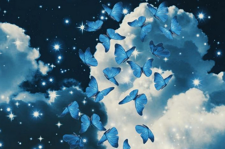 Abrid tambien cuenta en Bluesky, por faaaa.  (Aunque sigás aquí)
<a href="/LaRevuelta_TVE/">La Revuelta</a>
<a href="/El_Intermedio/">El Intermedio</a>