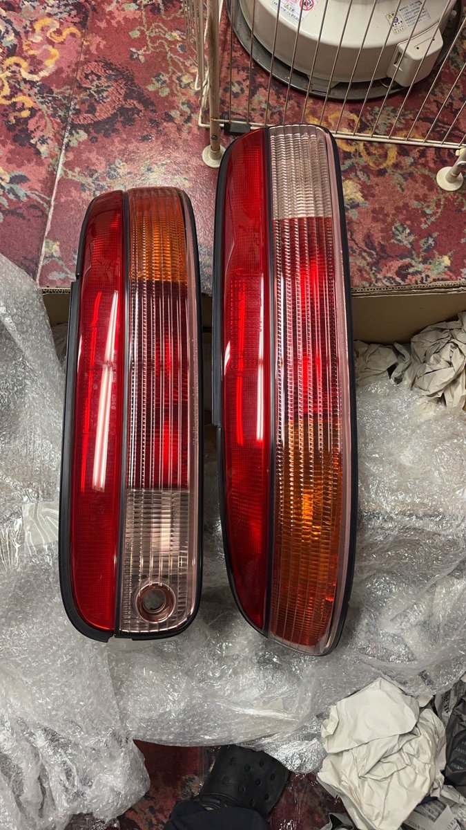 上物の中期テールを仕入れた