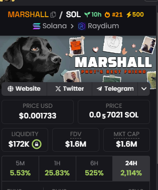Monky_Calls's tweet photo. Highlighted #MARSHALL  at $1M6 MC in my  VIP TG https://t.co/06rpztl29a