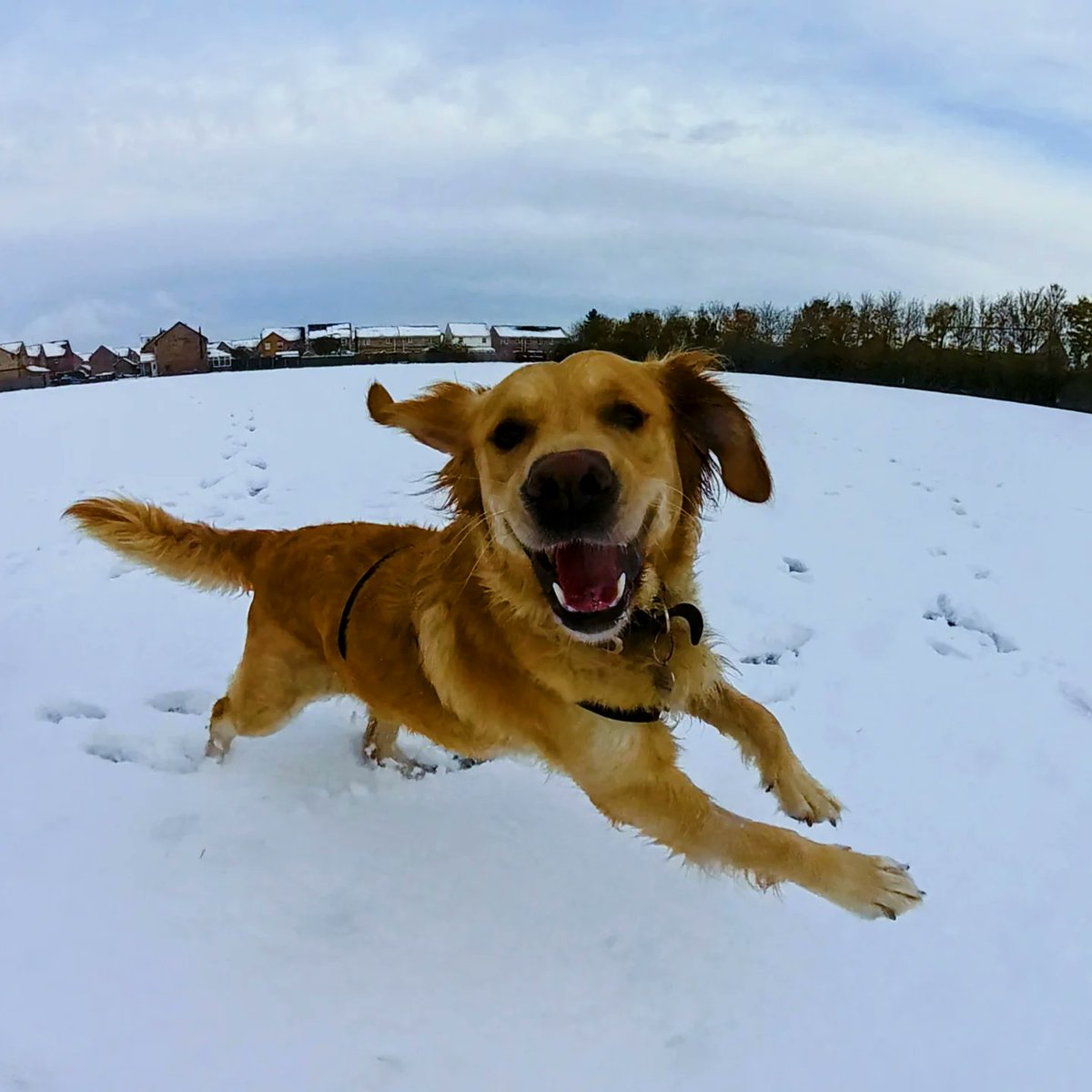 #snowday Good day to have off today 😁