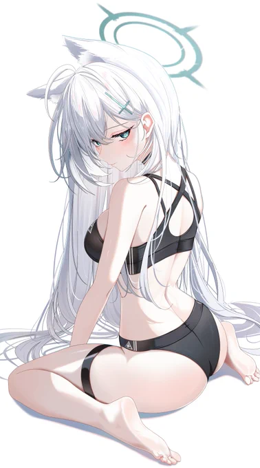 シロコ 