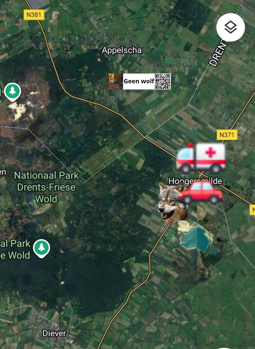 Een aanrijding veroorzaakt door een wolf is verzekerd, maar dan moet je wel eerst de wolf raken en daarna pas de vangrail.
facebook.com/share/VSWKFbeu…