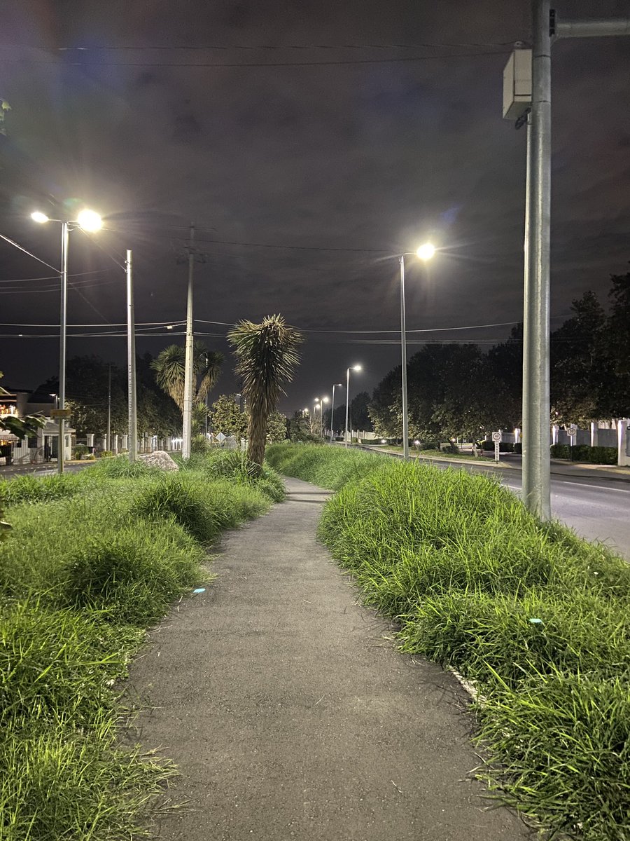 RuliMiranda's tweet photo. Una limpiada para antes de navidad cuando menos Sr.Alcalde..? Para que se note el nuevo predial 2025. Blvd Puerta de Hierro. @mtygob @AdrianDeLaGarza @Cicmty https://t.co/xf6IwsJZwe