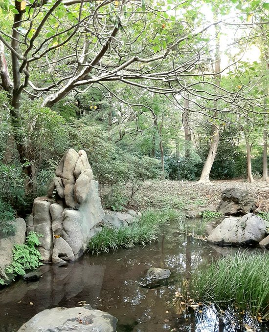 「すぐ近くの六義園。紅葉はこれからって感じ。 遠くの雪吊り。 なんか枝が綺麗な木。」|パンダのイラスト