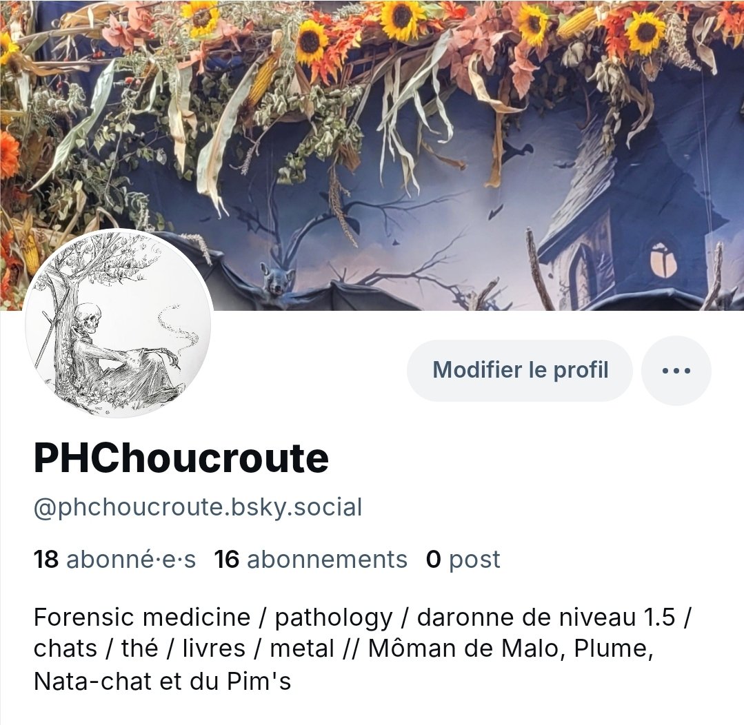 PH-choucroute 🌻 tweet media