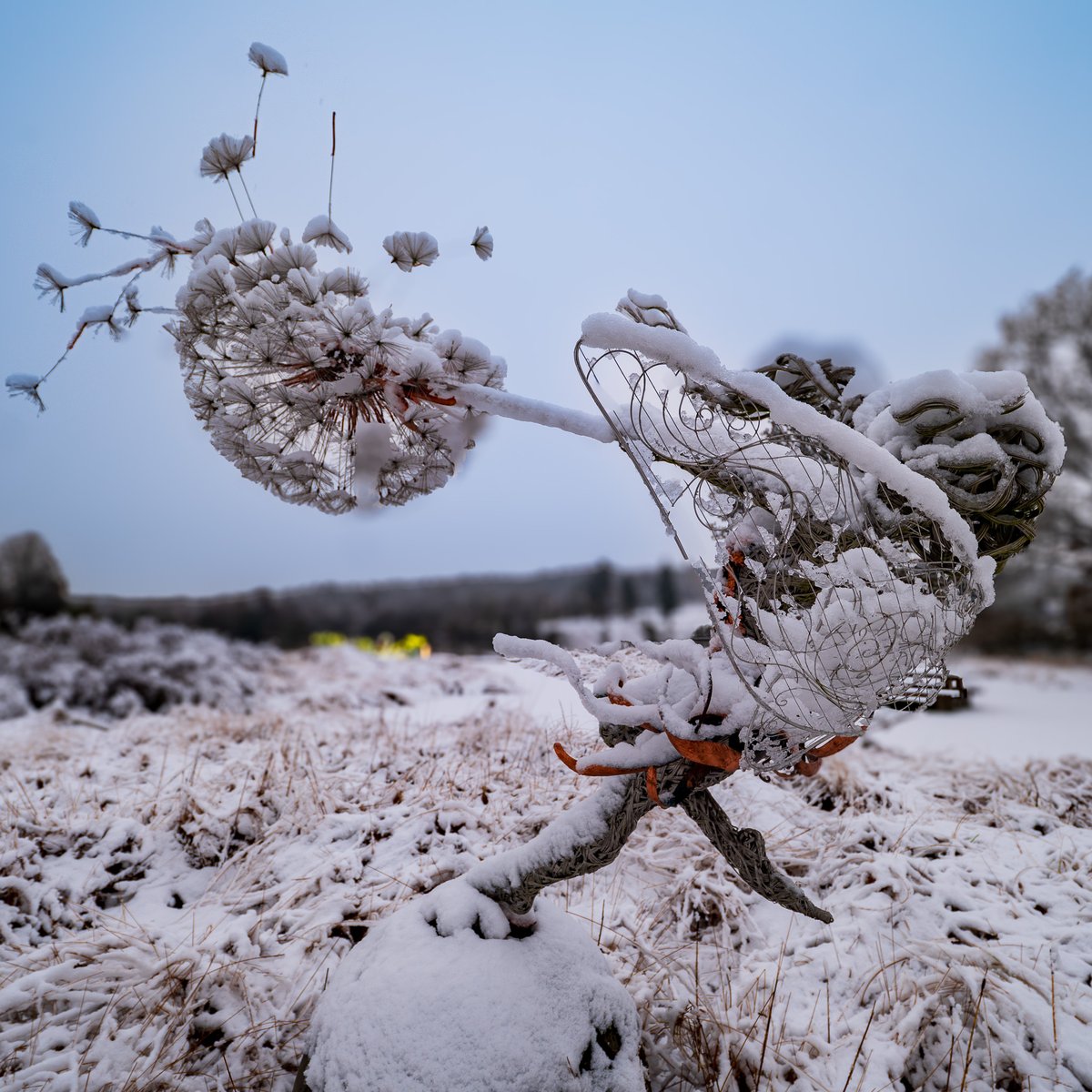 Trentham Estate tweet media