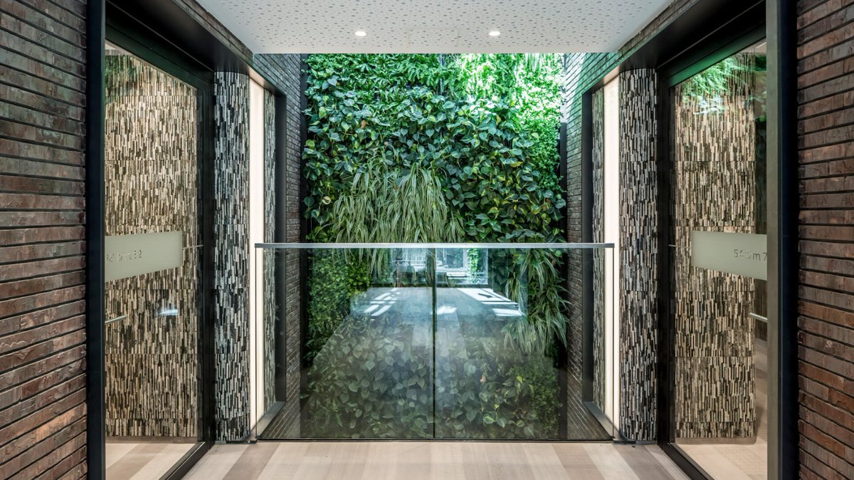 Harm Tilman tweet media