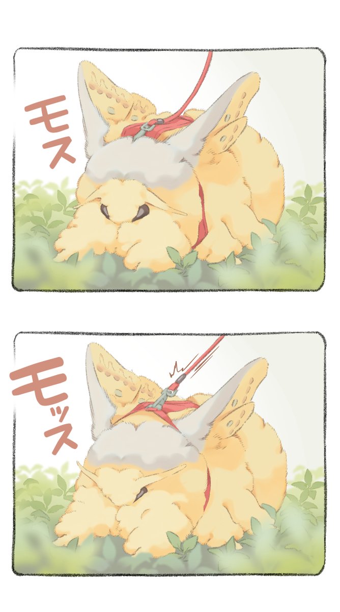 散歩から帰らないモス 