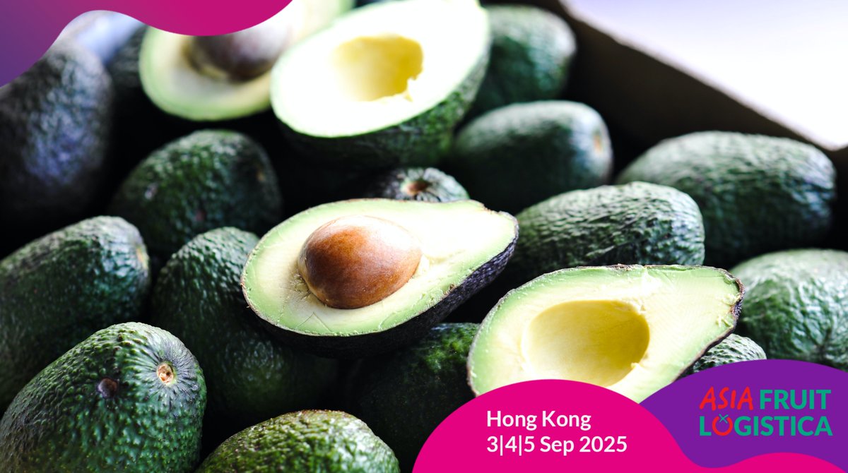 ASIA FRUIT LOGISTICA (@asia_fruit) on Twitter photo Australian avocados take a significant step towards entering China ๐ฆ๐บ๐ฅ๐จ๐ณ
The signature of a MoU with China Chamber of Commerce enhances exchanges. <a href="/AvocadosAu/">Avocados Australia</a> has been lobbying for market access since 2013. Setting up a win-win model could be closer than ever. We at ASIA FRUIT Australian avocados take a significant step towards entering China ๐ฆ๐บ๐ฅ๐จ๐ณ
The signature of a MoU with China Chamber of Commerce enhances exchanges. <a href="/AvocadosAu/">Avocados Australia</a> has been lobbying for market access since 2013. Setting up a win-win model could be closer than ever. We at ASIA FRUIT