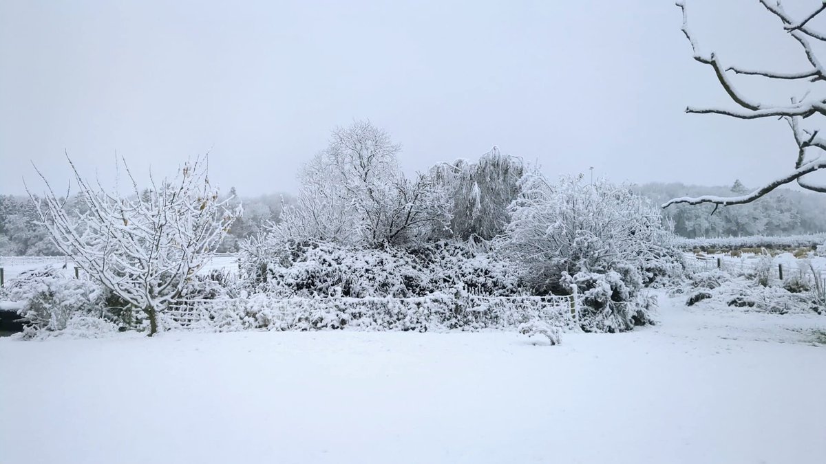 Tom Lowe (@saloplarus) on Twitter photo Winter arrived early at #salopobs ❄️ #uksnow #stormhour #loveukweather <a href="/ShropshireWX/">Shropshire Weather</a> Winter arrived early at #salopobs ❄️ #uksnow #stormhour #loveukweather <a href="/ShropshireWX/">Shropshire Weather</a>
