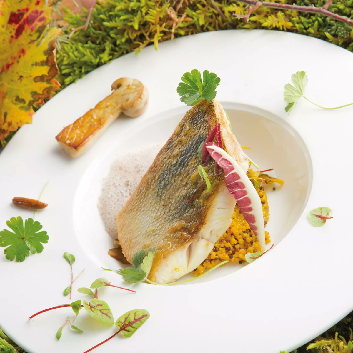 French Cuisine tweet media