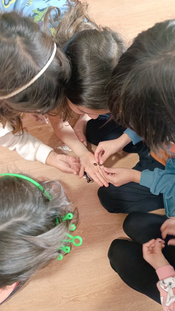 SuarezFMarta's tweet photo. Felices de participar en la Semana de la Ciencia enseñando la diversidad de las judías y un poquito de su herencia en @colequintaltexu 🏫👩🏻‍🔬🧬🌱 #SeridaGV
#TOOLBEAN2 @AgEInves
#LegumeGeneration #HorizonEU https://t.co/VmJ0kgDtMP