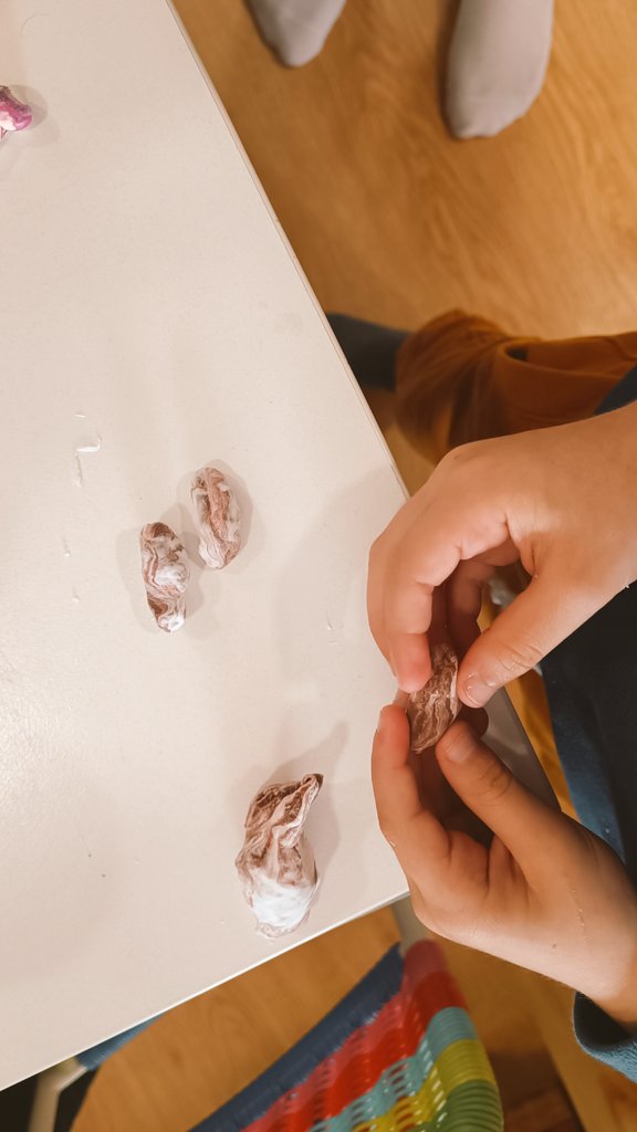 SuarezFMarta's tweet photo. Felices de participar en la Semana de la Ciencia enseñando la diversidad de las judías y un poquito de su herencia en @colequintaltexu 🏫👩🏻‍🔬🧬🌱 #SeridaGV
#TOOLBEAN2 @AgEInves
#LegumeGeneration #HorizonEU https://t.co/VmJ0kgDtMP