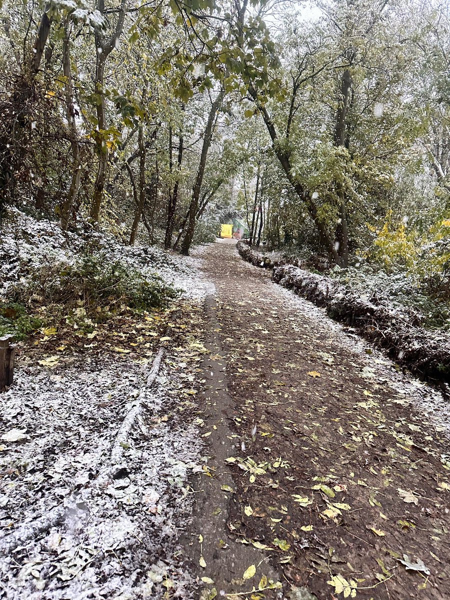 Snow arrived in Muswell Hill today, and it feels like winter’s made an early entrance! ❄️ Whether you're cozying up with a hot drink or not ready to face the chill yet, it’s hard to ignore the magic in the air. Embracing the frosty vibes or still holding on to autumn?