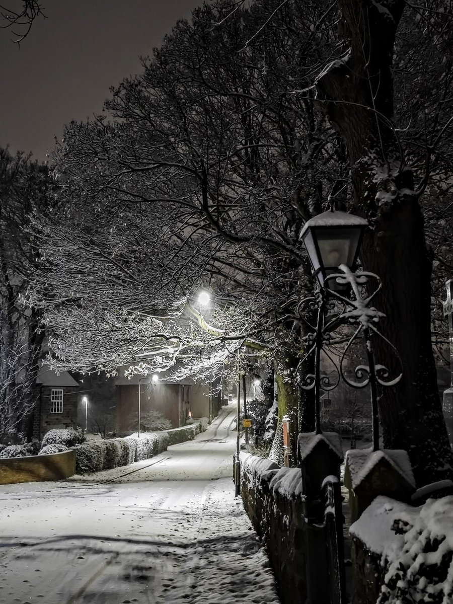 📸 MR. HANGING ON IN QUIET DESPERATION... tweet media