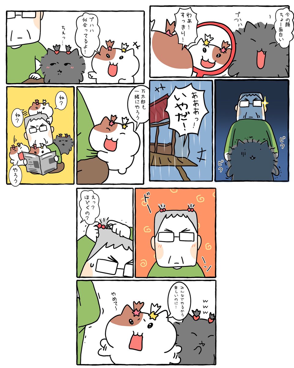 Post by もちにゃみ on X: いいじゃん！！