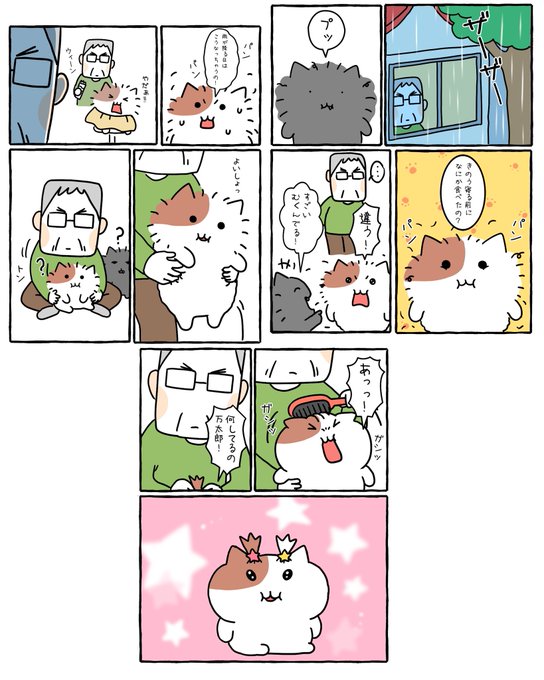 いいじゃん！！ | もちにゃみ さんのマンガ | ツイコミ(仮)