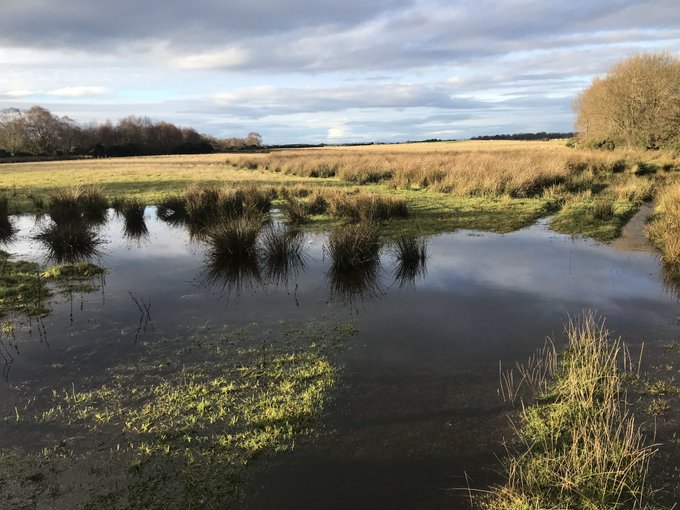 Scottish Gov. consultation regarding the International Convention on Wetlands of International Importance (Ramsar). There are currently 51 Ramsar sites in Scotland, supporting 284 Ramsar natural features (i.e. wetland habitats or bird populations).
consult.gov.scot/environment-fo…