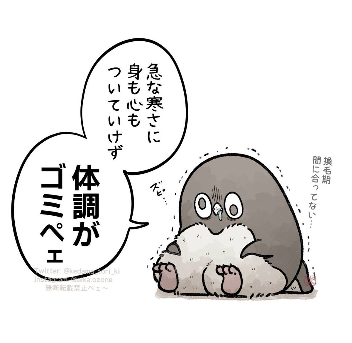 急な寒さについていけなかったアデリーペンギン
#虚無かわいいアデリーペンギン