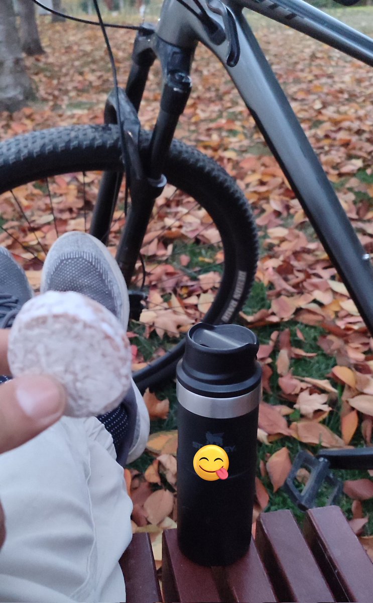 bikeshuttravel's tweet photo. Pryanik and coffee
#kurabiye #kahve #bisiklet #sonbahar #dinlen
#pryanik #Coffee #bike #Autumn #rest https://t.co/IcDmbYGwpL