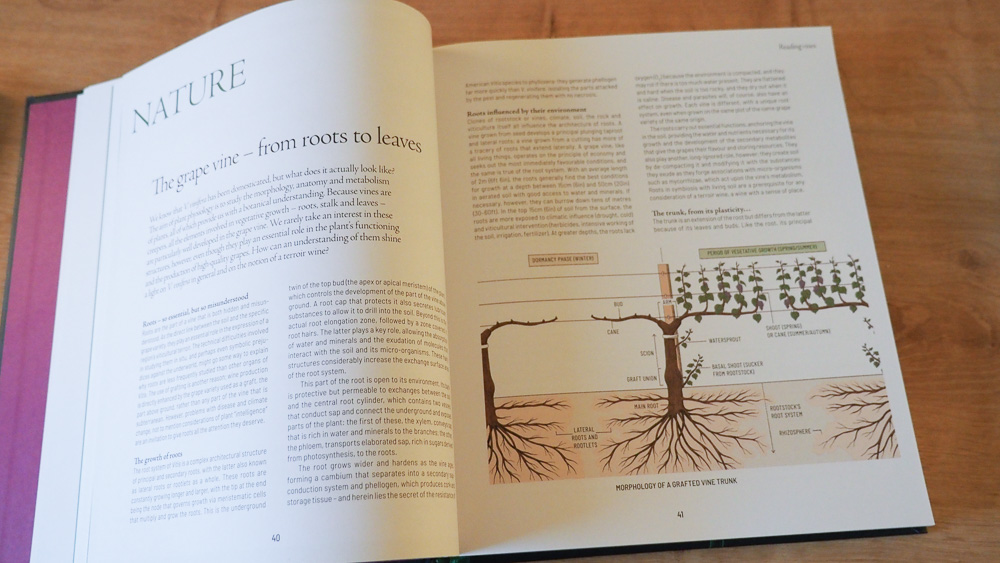 jamiegoode's tweet photo. One Thousand Vines, by Pascaline Lepeltier, is a once-in-a-generation work of synthesis - a brilliant exploration of the world of wine. I can't emphasize how good this book is. https://t.co/SRuaCIJuLT @plepeltier @Octopus_Books https://t.co/K1HLla6cLV