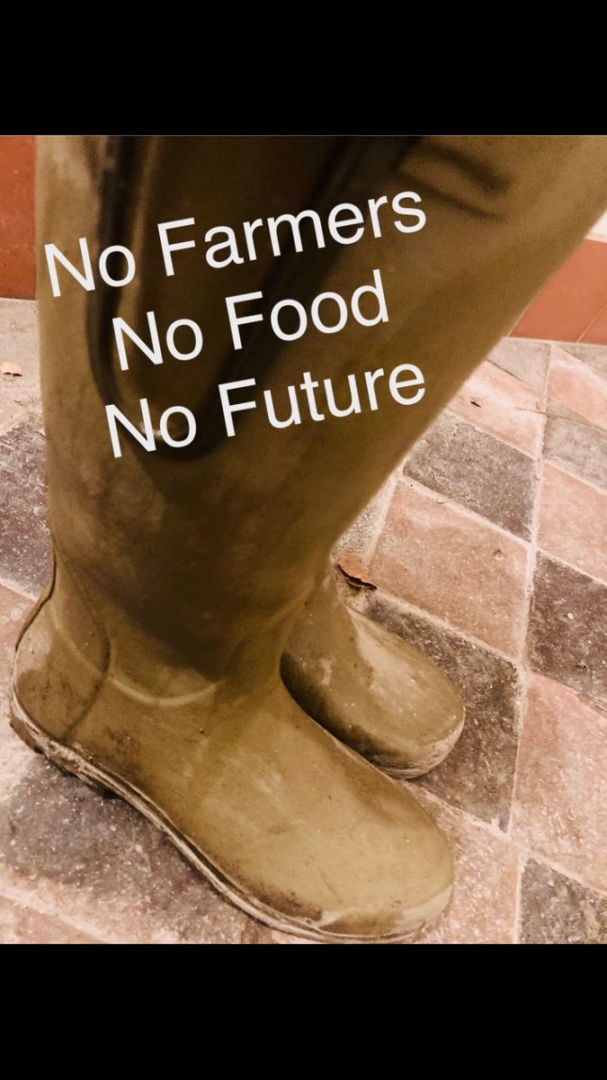 In solidarity with fellow farming families protesting today. With hopes of revisions to the budget and a brighter future all round. 🐑🌱🌾xxx

#FarmersProtest #BackBritishFarming #NoFarmersNoFood #Farming