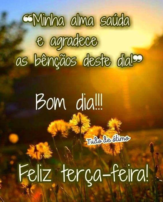 VandinhaFlaJM¹³ ❤️🖤💛🌈🌙🪞🇧🇷 tweet media
