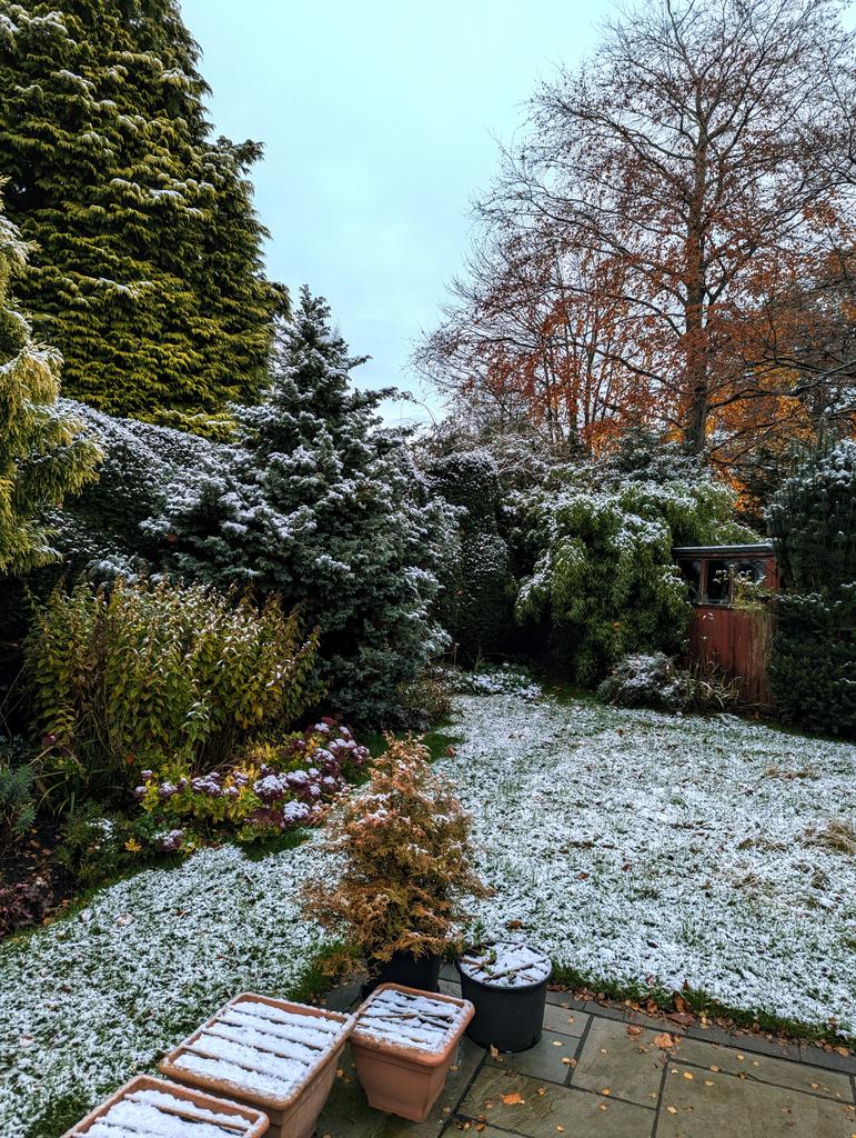 Mrs OR 🇺🇦 tweet media