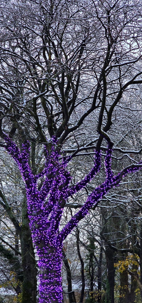 BekkerPetro's tweet image. How stunning does our #treeofhope look this morning in the snow ❄️ @WWLNHS @InformaticsWWL