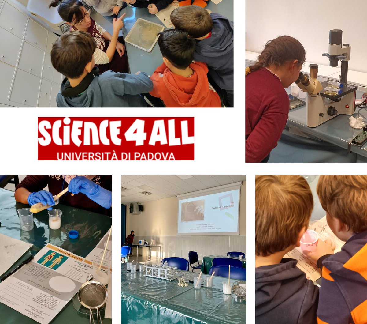 Continuano gli appuntamenti di Science4All nelle scuole. Le professoresse <a href="/FrassonIlaria/">Ilaria Frasson</a> e <a href="/IreneGallina/">Irene Gallina</a> hanno incontrato tre classi di studenti della scuola primaria, che sono diventati piccoli microbiologi molecolari per un giorno.
#TerzaMissioneDMM