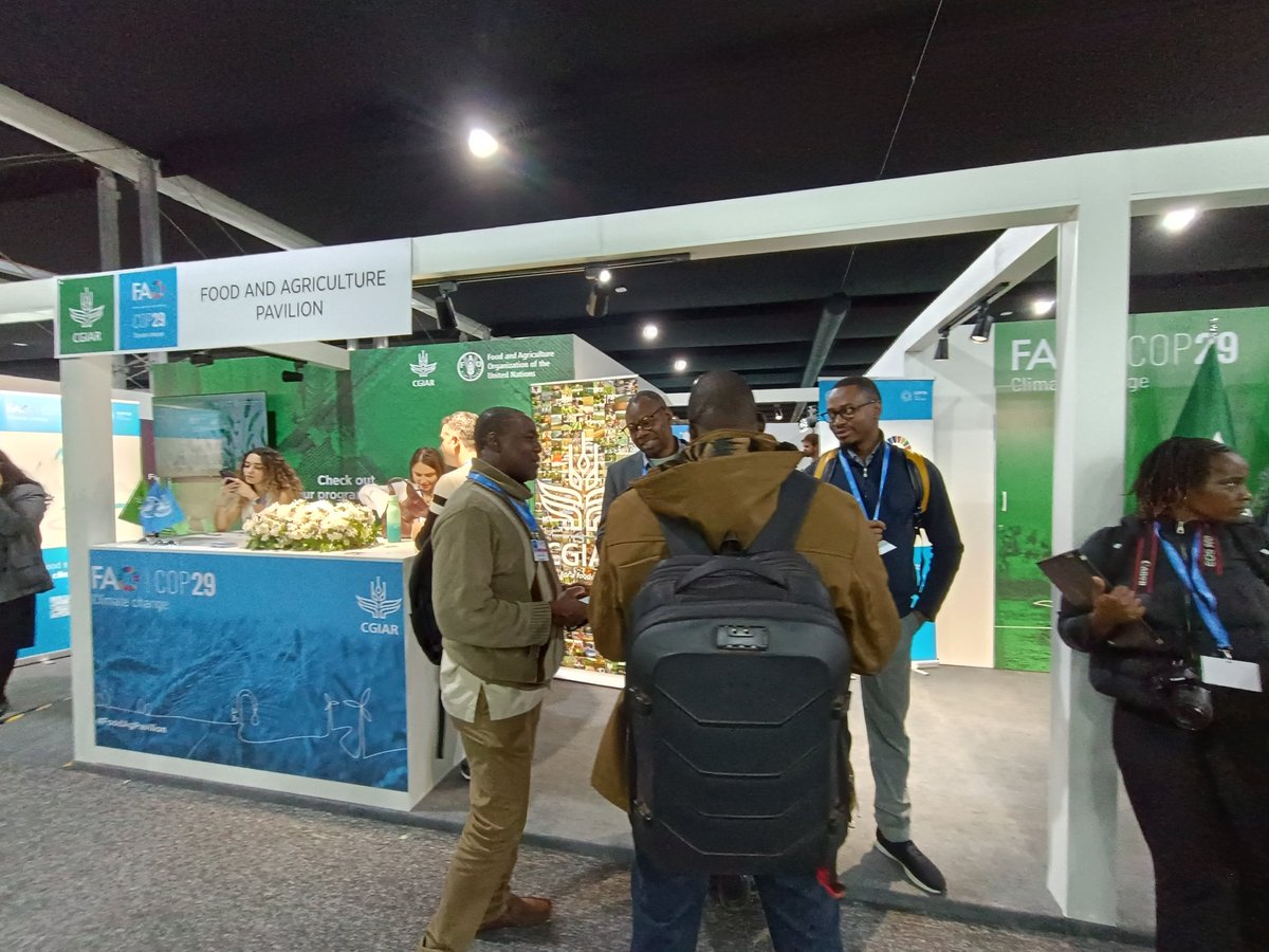 SHOWCASE_project (@showcase_h2020) on Twitter photo 🤩SHOWCASE presented at UNFCCC's #COP29!
On the agriculture thematic day, project policy briefs & stickers were presented at the <a href="/FAO/">Food and Agriculture Organization</a> <a href="/CGIAR/">CGIAR</a> #FoodAgPavilion!
💡If you attending COP29 in Baku, 🇦🇿, make sure to drop by to see the brand new 2️⃣nd policy brief of SHOWCASE! 🤩SHOWCASE presented at UNFCCC's #COP29!
On the agriculture thematic day, project policy briefs & stickers were presented at the <a href="/FAO/">Food and Agriculture Organization</a> <a href="/CGIAR/">CGIAR</a> #FoodAgPavilion!
💡If you attending COP29 in Baku, 🇦🇿, make sure to drop by to see the brand new 2️⃣nd policy brief of SHOWCASE!