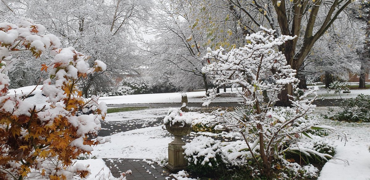 chrisjay tweet media