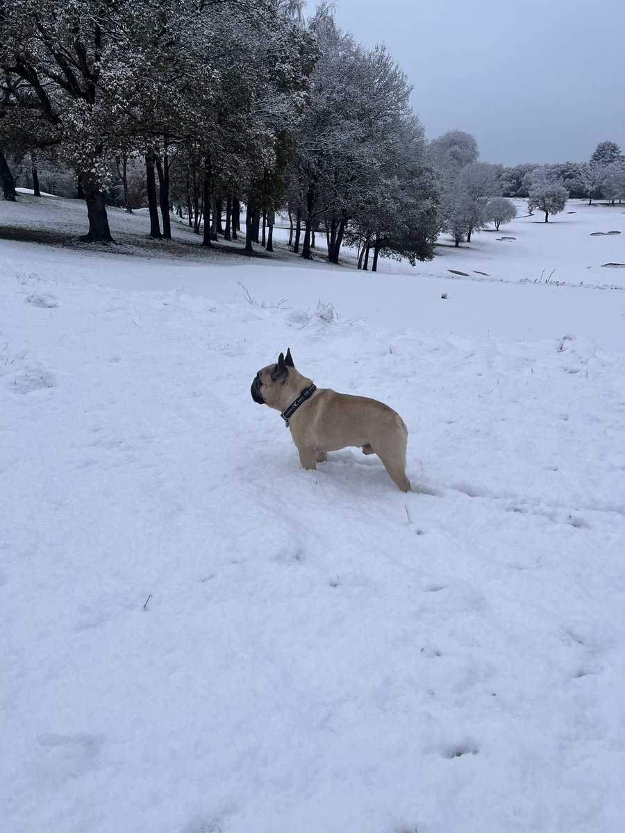 There will be no golf today <a href="/SandiwayGreens/">Sandiway Golf Club Greens</a> ❄️