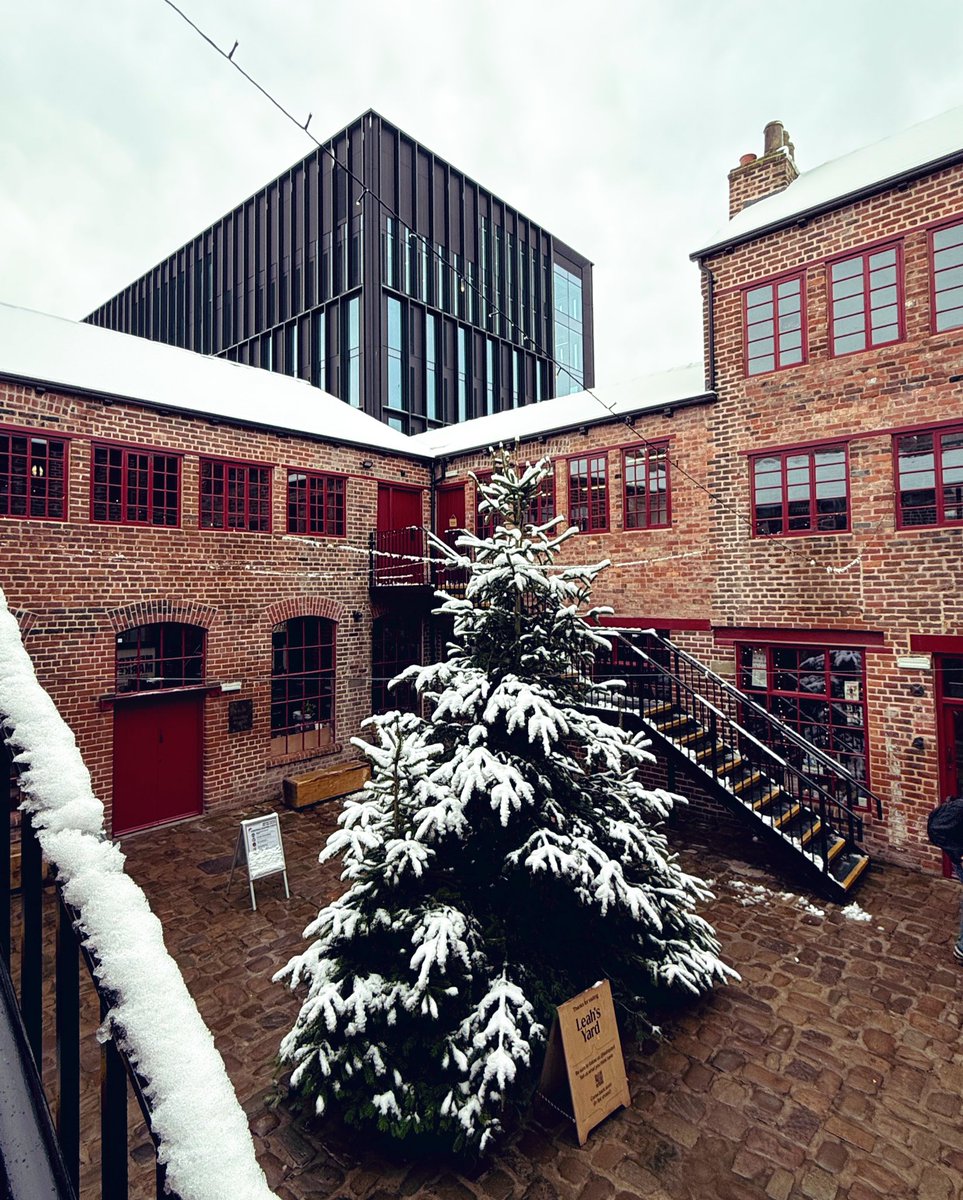 Feeling festive at Persephonica HQ today! 🎄☃️❄️ <a href="/LeahsYard/">Leah's Yard</a>