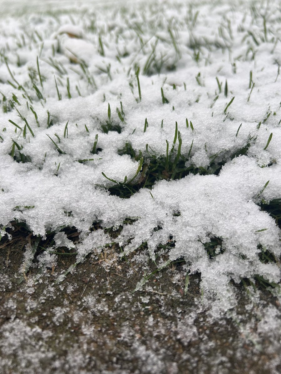Let it snow ❄️❄️

#snow #schnee #firstsnow #winter #winterwonderland