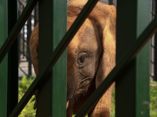 Competitiveness and Enterprise Development Project tweet media