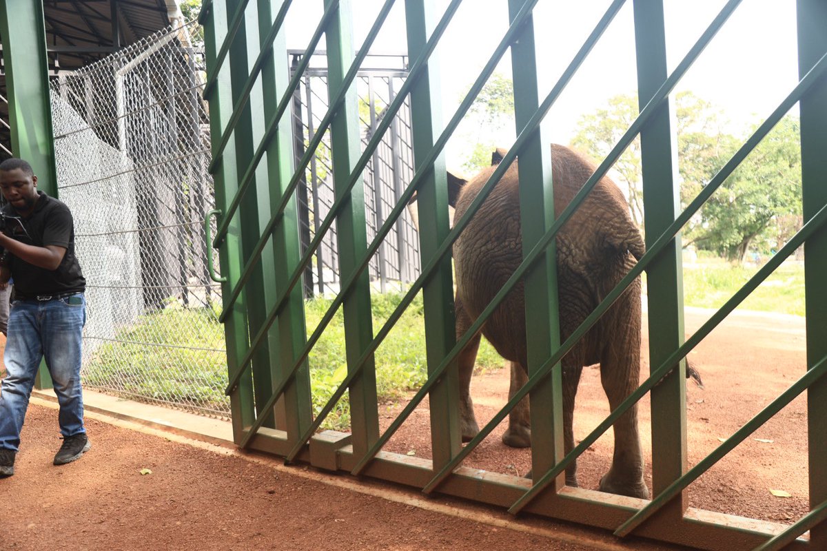 Competitiveness and Enterprise Development Project tweet media