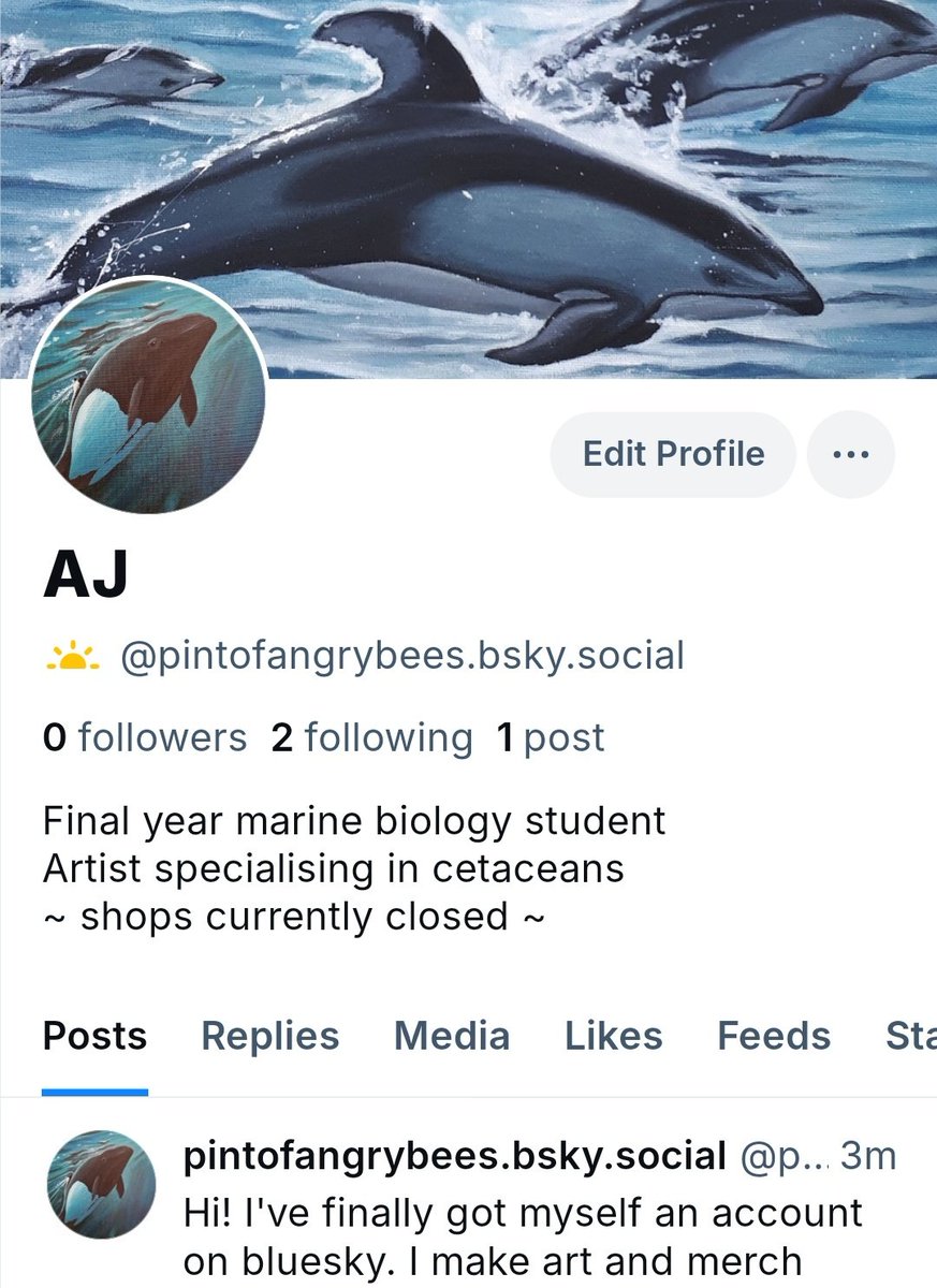 I've decided to make an account on ~ the other site ~ at long last