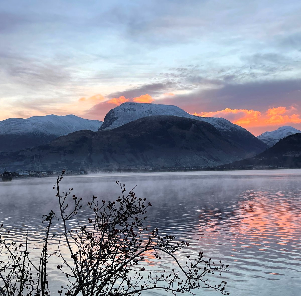 ALVANCE British Aluminium tweet media