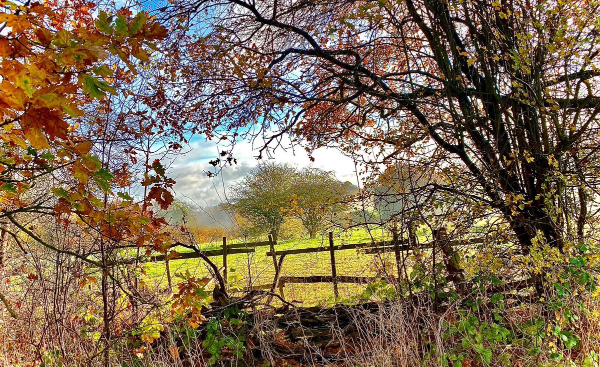 Scadders tweet media