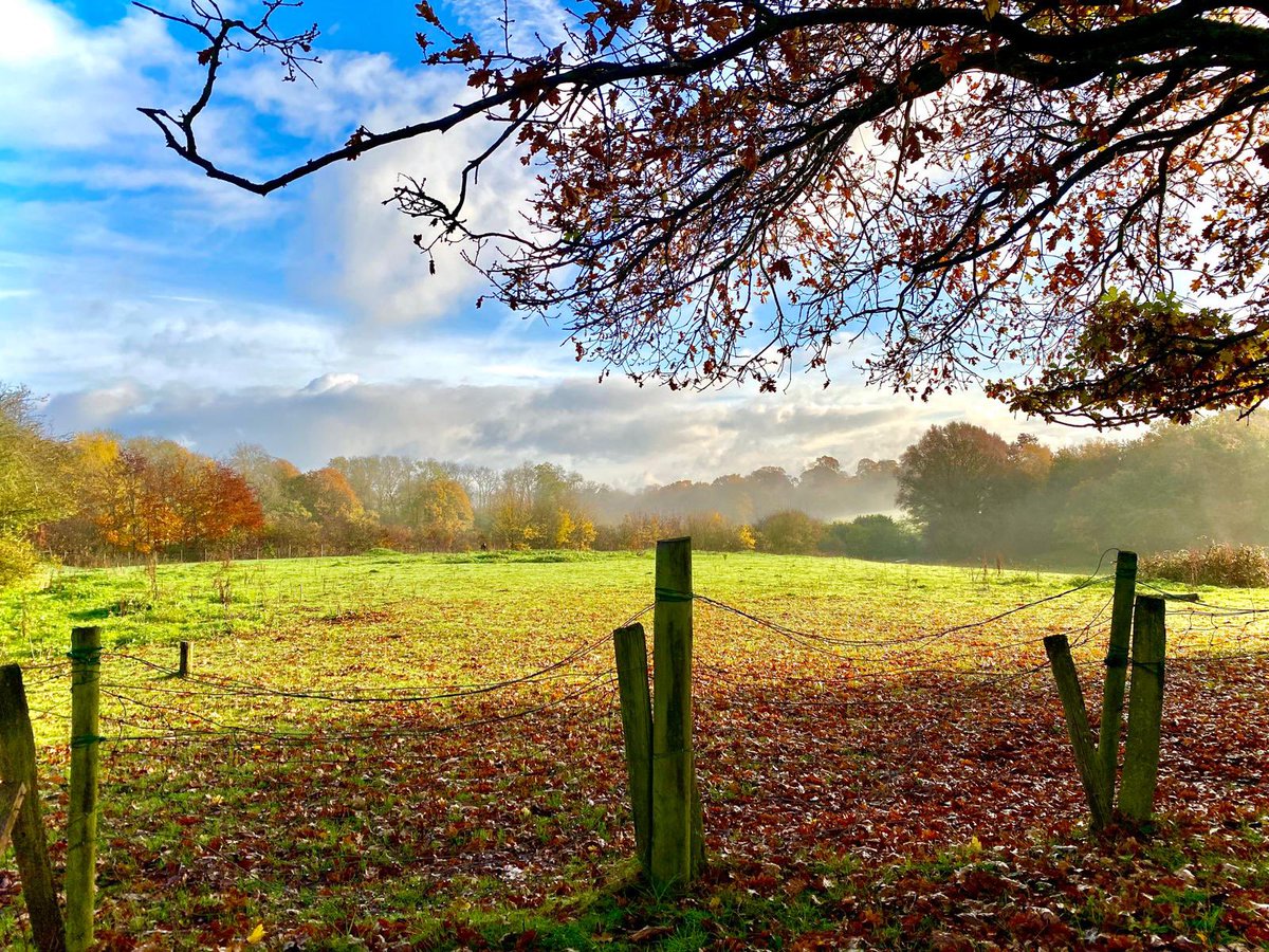 Scadders tweet media