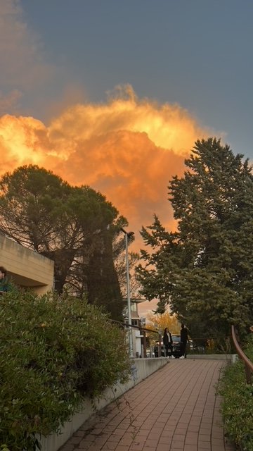 BibliotecaUCLM's tweet image. LLegando a @BibliotecaUCLM @CampusCuenca #bibliotecas #amanecer #librosylecturas