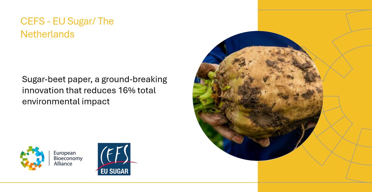 European Bioeconomy Alliance (@eubioeconomy) on Twitter photo 🌱Introducing #SugarBeetPaper! An eco-friendly #innovation from <a href="/CosunBeetCo/">Cosun Beet Company</a> and <a href="/Crownvangelder/">Crown Van Gelder</a>
📉 16% less #environmentalimpact
🌍 6% less #CO2emissions
🏞️ 18% less #landusage
💧 10% less water needed
🚛 Reduced #transportemissions
💚bit.ly/3ZB0vpD
<a href="/SugarEurope/">EU Sugar Manufacturers</a> 🌱Introducing #SugarBeetPaper! An eco-friendly #innovation from <a href="/CosunBeetCo/">Cosun Beet Company</a> and <a href="/Crownvangelder/">Crown Van Gelder</a>
📉 16% less #environmentalimpact
🌍 6% less #CO2emissions
🏞️ 18% less #landusage
💧 10% less water needed
🚛 Reduced #transportemissions
💚bit.ly/3ZB0vpD
<a href="/SugarEurope/">EU Sugar Manufacturers</a>