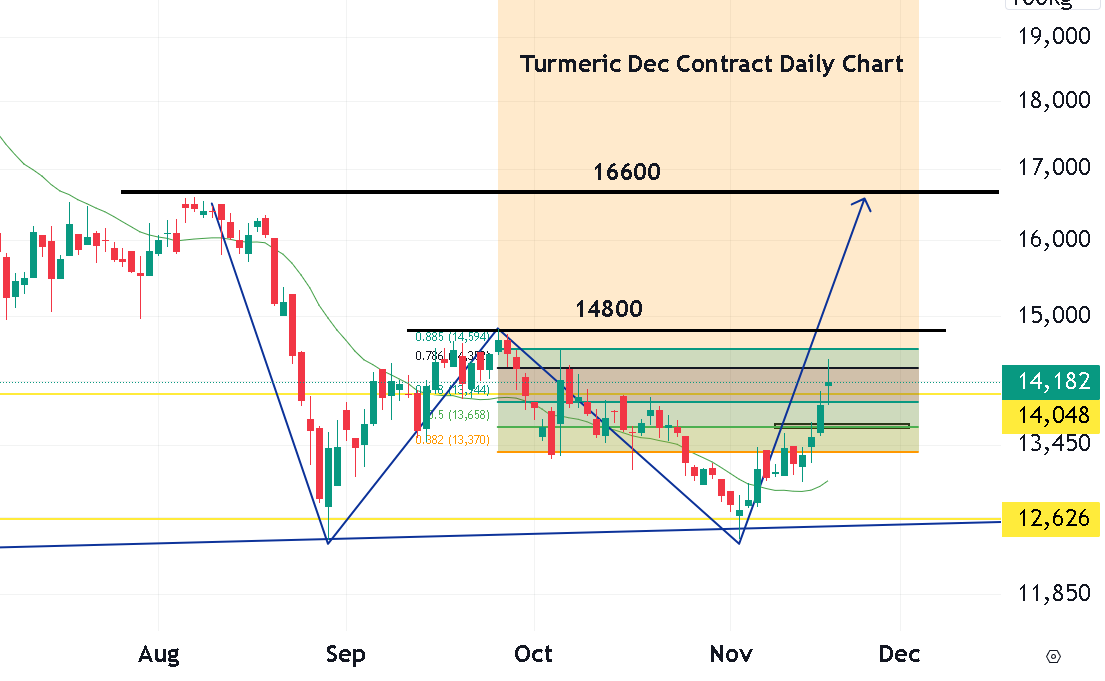niragagan25479's tweet photo. #Turmeric Daily Chart upside potential towards 16600 https://t.co/1muXQYMxTm