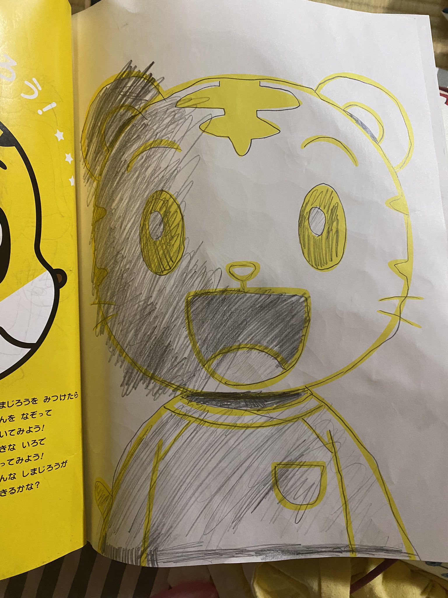しまじろう　8.9.10.11.12月号 しまじろう 8.9.10.11.12月号 卸売り本・雑誌・漫画
