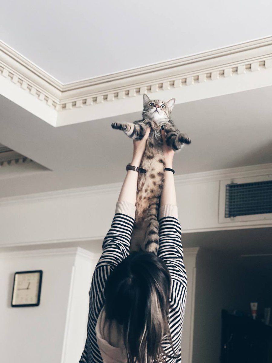 این آدم نادون داره چیکار می‌کنه