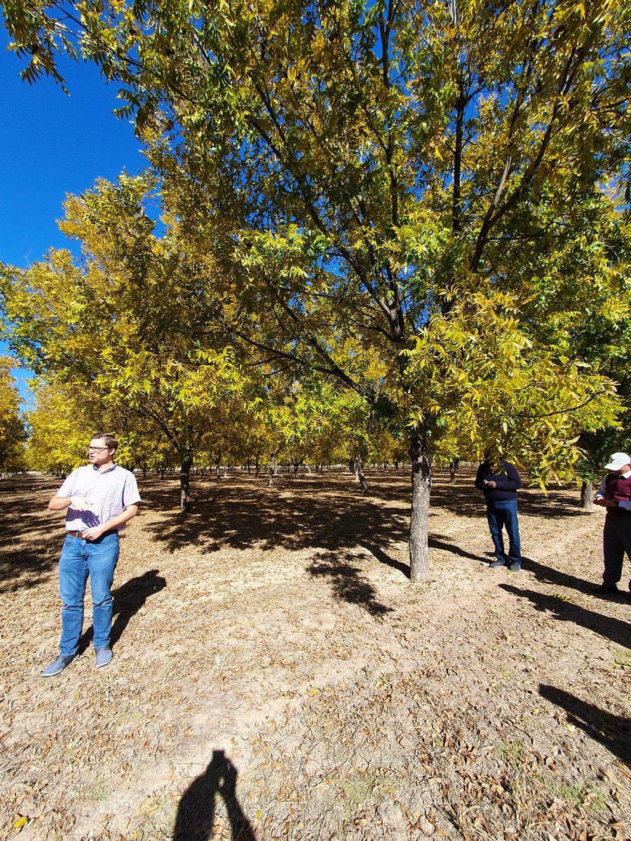 Christina van Midden tweet media