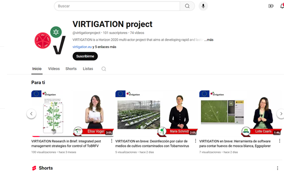El canal de YouTube de #VIRTIGATION ha publicado una serie de entrevistas cortas subtituladas al español, realizadas a expertos e investigadores del proyecto. Estas entrevistas abordan la problemática de las enfermedades emergentes causadas por #begomovirus y #tobamovirus en