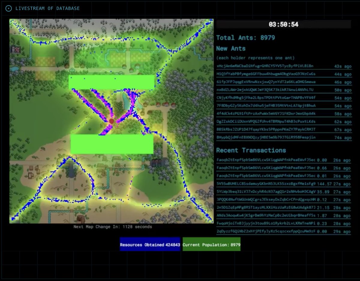 nuclearcomp's tweet image. The Ant population has grown to 8979

All looking for food and laying pheromone trails

Individual ants that are no longer #NUCLEAR holders will die within 2 days