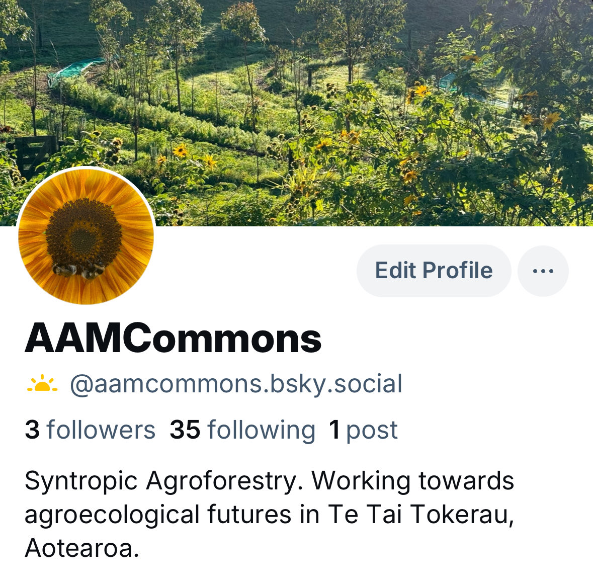 AM Commons (@aamcommons) on Twitter photo 